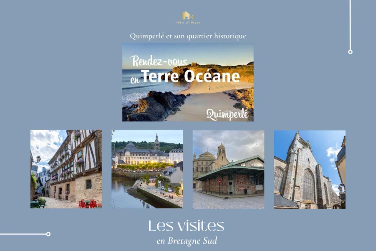 Le Tiguidou, Cosy, Lumineux, 2-6 Pers, Plage 300M Moëlan-sur-Mer المظهر الخارجي الصورة